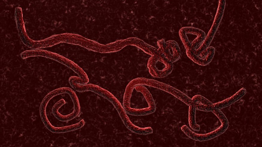 LE VIRUS EBOLA Transmission Possible Par Voie A rienne